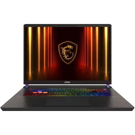 MSI Vector 17 HX AI A2XWHG-041 Intel Core Ultra 9 275HX 32 GB RAM 2 TB SSD RTX 5070 Ti