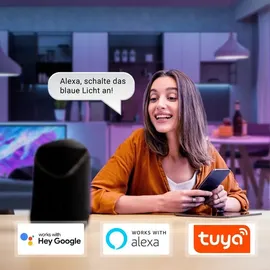 MegaLight Smart LED-Stripe Tuya 3 m RGBW CCT Amazon Alexa Hey Google
