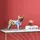 Kare Deko Figur Frenchie Bunt 24cm