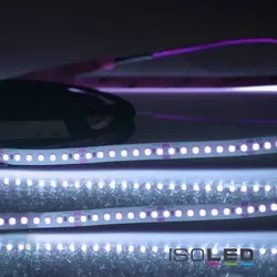 ISOLED CRI Food Flexband Fisch 24V 14,4W IP54 Nano beschichtet EEK D [A-G]