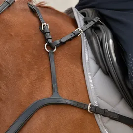 SUNRIDE Vorderzeug Ascot aus Echtleder 5-Punkt/3-Punkt Pony braun