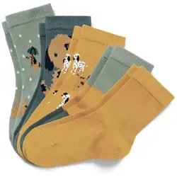 Tchibo - 5 Paar Kinder-Socken - Dunkelgrün - Kinder - Gr.: 31-34 - grün - 31-34