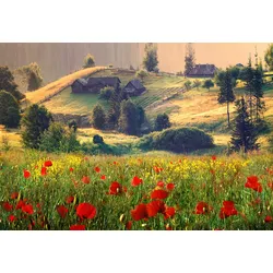 Fototapete PAPERMOON "Neblige Sommerlandschaft", bunt, B:3,50m L:2,60m, Vlies, Tapeten