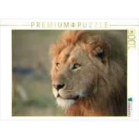 Calvendo Löwen – Morgenspaziergang 1000 Teile Puzzle quer