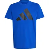 Adidas Unisex-Kinder Essentials T-Shirt T-Shirt, Team royal Blue/Black,