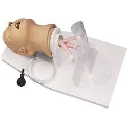 Intubationstrainer Erwachsener orale und nasale Intubation