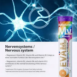 eväm Multivitamin Minerals Brausetabletten 20 St.