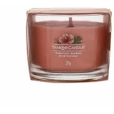 Yankee Candle Tropical Breeze 37 g Duftkerze