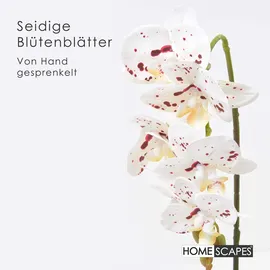 Homescapes KUNSTBLUME Orchidee weiß-pink im Deko-Topf, 56 cm
