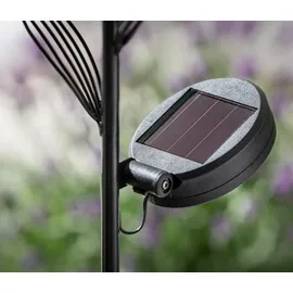 Dehner Solarleuchte Glas/Metall Ø 18 cm/H 110 cm 1 Stück schwarz