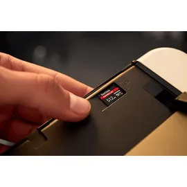 SanDisk GamePlay microSDTM Express-Karte Works with Nintendo SwitchTM 2 512 GB, Speicherkarte, Schwarz