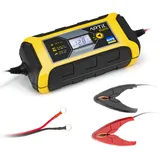 GYS ARTIC 8000 12 V 2/8 A