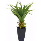 Europalms Agave im Topf, 75cm
