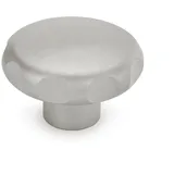 GANTER EDELSTAHL-STERNGRIFF