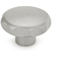 GANTER EDELSTAHL-STERNGRIFF