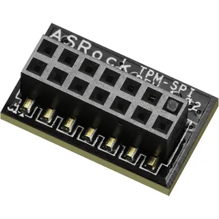 ASRock 90-MCA080-00UBNZ Trusted Platform Module (TPMs) SPI