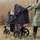 my duque Cooper Hundebuggy schwarz bis 32 kg
