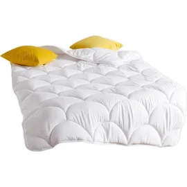 Traumschlaf Basic Faser Ganzjahresdecke medium, Füllung: 100% Polyester 200x220 cm