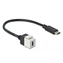 Delock Keystone module - USB-Kabel - 24 pin USB-C (W)