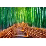 Papermoon Fototapete »BAMBUS-WALD-KYOTO«, bunt