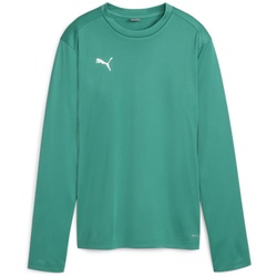 PUMA teamGOAL Trainings-Sweatshirt Damen 05 - sport green/power green/puma white XS