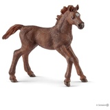 Schleich Horse Club Englisch Vollblut Fohlen 13857