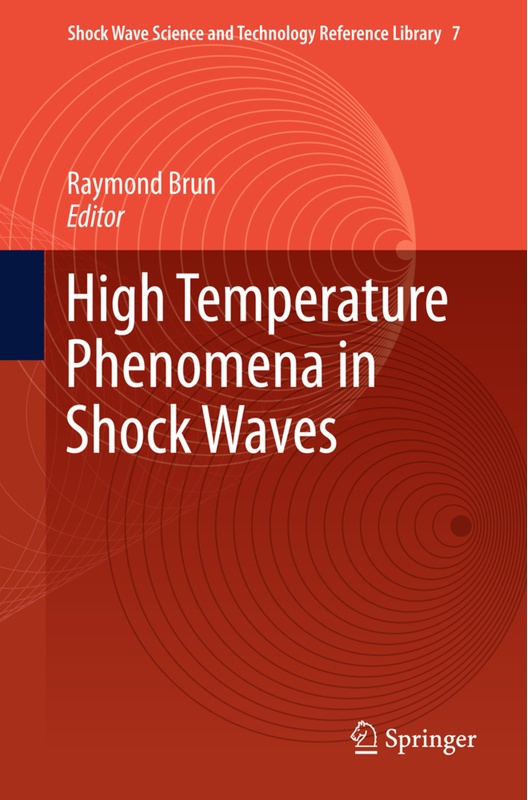High Temperature Phenomena In Shock Waves, Kartoniert (TB)
