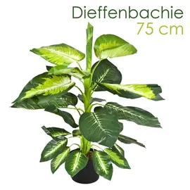 Decovego Kunstpflanze Dieffenbachie im Topf, Höhe 75 cm