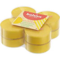 Maxi-Lichte True Citronella (8er Pack)