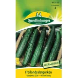 Quedlinburger Saatgut Salatgurke Gergana (Gurkensamen)