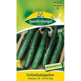 Quedlinburger Saatgut Salatgurke Gergana (Gurkensamen)
