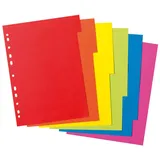 Herlitz Kartonregister A4 blanko 6 St.
