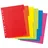 Herlitz Kartonregister A4 blanko 6 St.