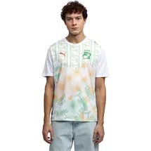 Puma Elfenbeinküste Auswärtstrikot 2026 Herren Gr. M