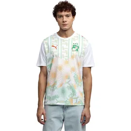 Puma Elfenbeinküste Auswärtstrikot 2026 Herren Gr. M