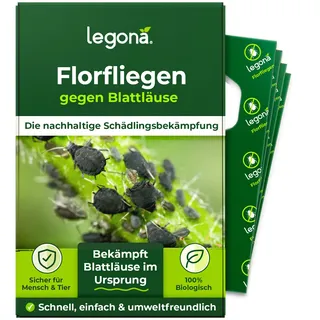 Florfliegenlarven gegen Blattläuse und Thripse