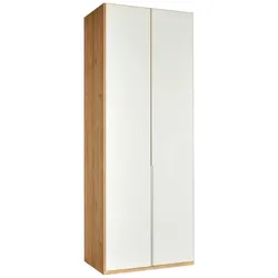 Drehtürenschrank in Weißglas