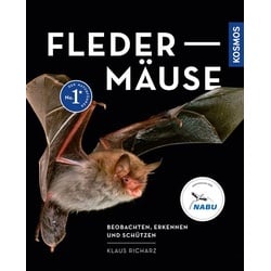 Fledermäuse