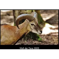 Vero Kalender Welt der Tiere 2025 Fotokalender DIN A3
