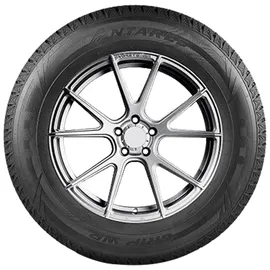 ANTARES Grip WP 245/45 R20 99T