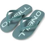 O'Neill Profile Logo Sandals north atlantic (15047)