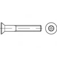 TOOLCRAFT Sicherheitsschrauben M4 40 mm 100 Stück