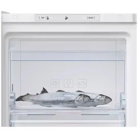 Beko Statischer Gefrierschrank RFSM200T41WN Weiß
