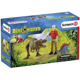 Schleich Dinosaurs Tyrannosaurus Rex Angriff 41465