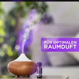 Teufelsküche Nag Champa Mix Räucherstäbchen - Set 6x 15 g