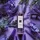 Jo Malone London Silver Birch & Lavender Eau de Cologne 30 ml