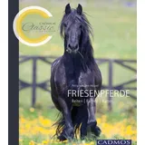 Cadmos Friesenpferde von Petra van den Heuvel / Cadmos / Taschenbuch