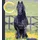 Cadmos Friesenpferde von Petra van den Heuvel / Cadmos / Taschenbuch