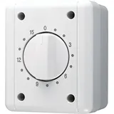 Jung Schaltuhr 8015 W