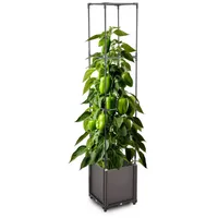 Gartenwelt Riegelsberger Blumenkasten mit Rankhilfe 4 Ebenen 30x30xH164 cm